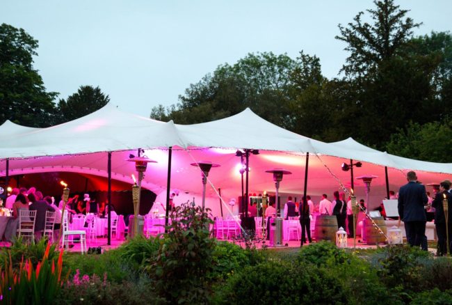 Header_Stretch_Wedding_Party_Summer-650x438