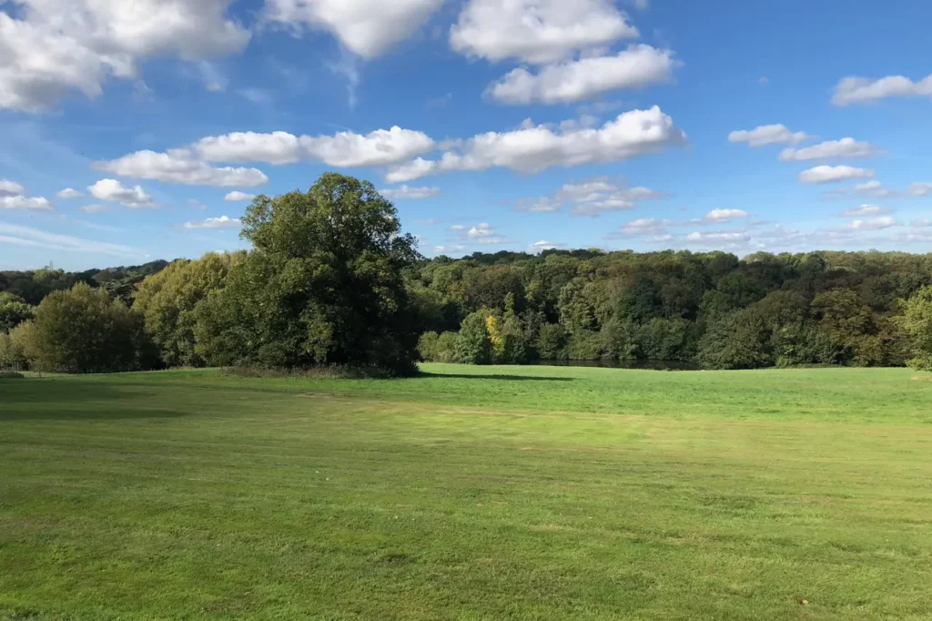 img-0317_4_375537-173921229687792