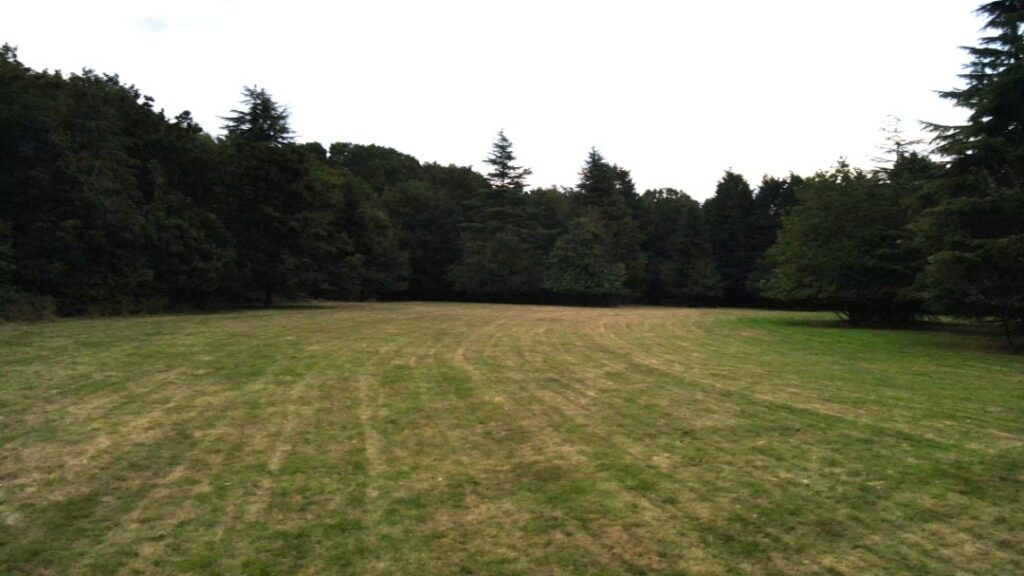 vlcsnap-2024-11-10-10h03m21s904